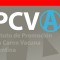 Instituto de Promoción de la Carne Vacuna Argentina