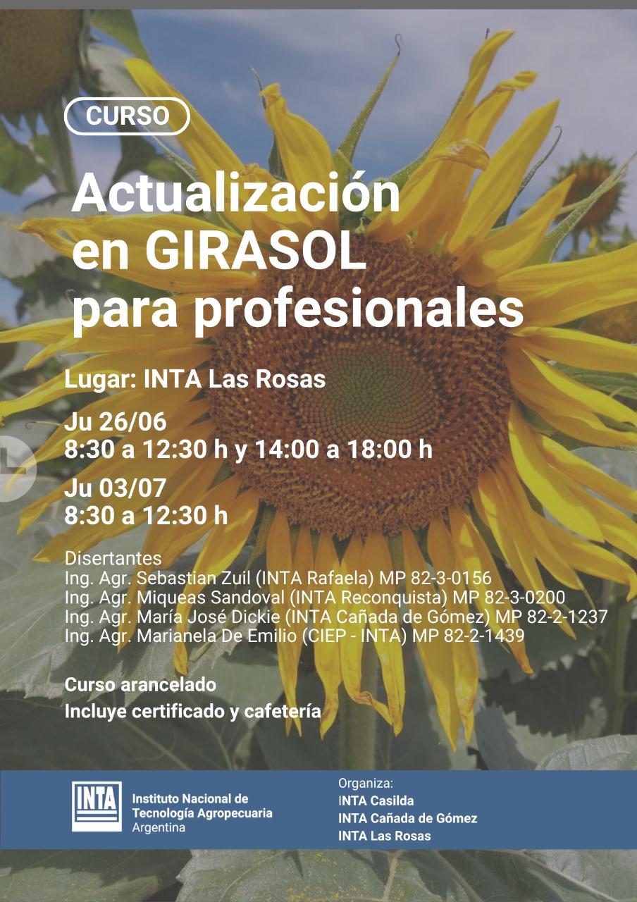 INTA girasol