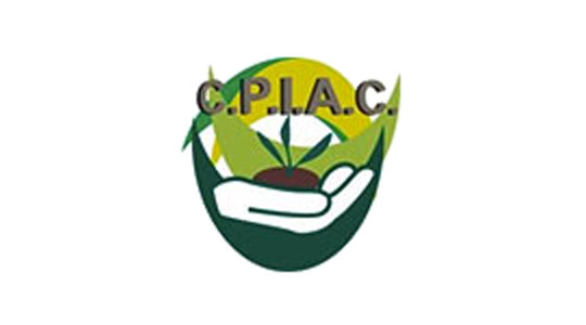 CPIAC Consejo Profesional de la Ingeniería de Corrientes