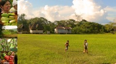 Responsabilidad social en el agro