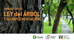 Ley del Arbol