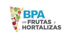 Buenas Prácticas Agrícolas en frutas y hortalizas