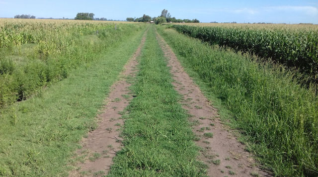 Caminos rurales sustentables