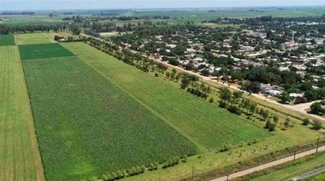 Agricultura extensiva en periurbanos