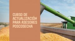 Asesores poscosecha de granos