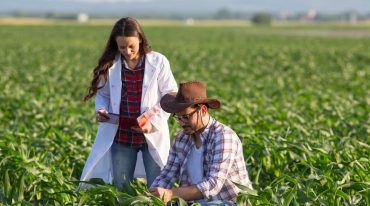 Ingenieros agronomos