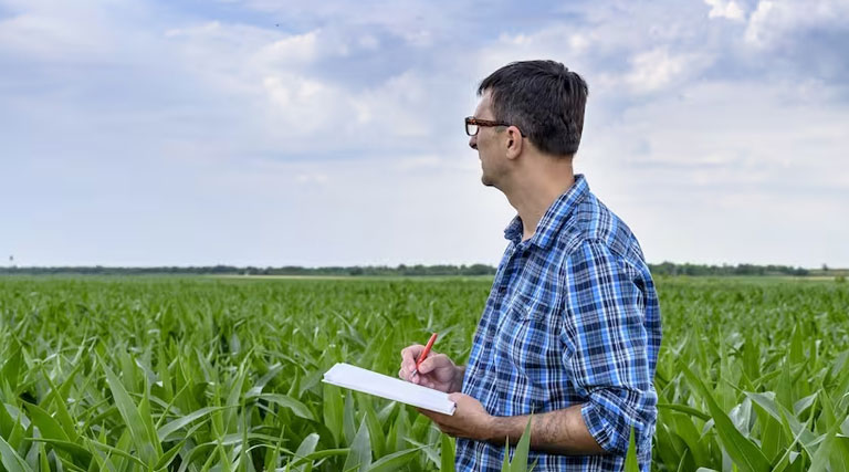 Ingeniero agrónomo veedor fitosanitario