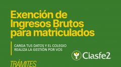 Trámite Exención IBrutos API Santa Fe