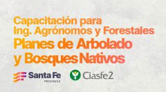 Capacitación para Planes de arbolado y bosques nativos